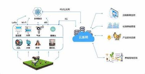 黃辰 以科技賦能智慧農業，做新時代的農業追夢人